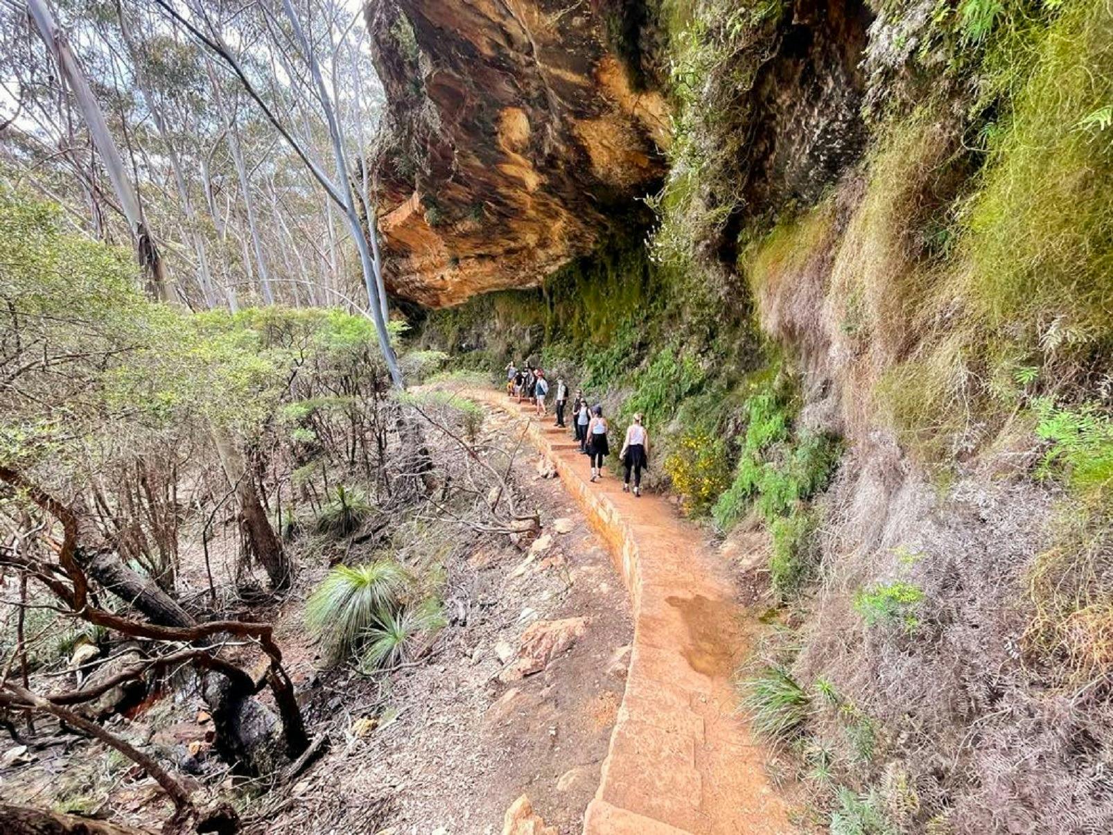 Walking group in Blackheath, Blue Mountains