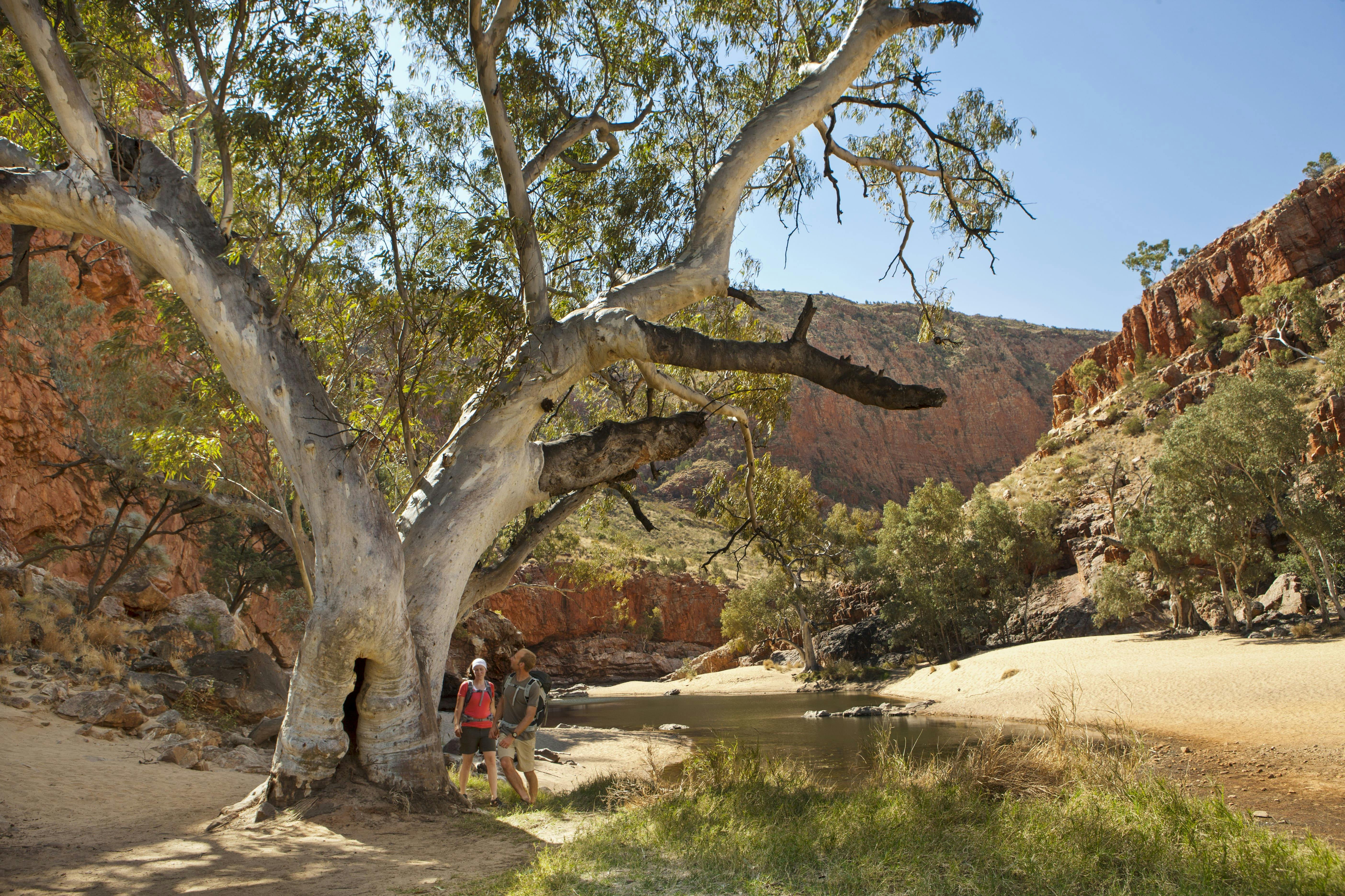 Autopia Tours - West MacDonnell Ormiston Gorge