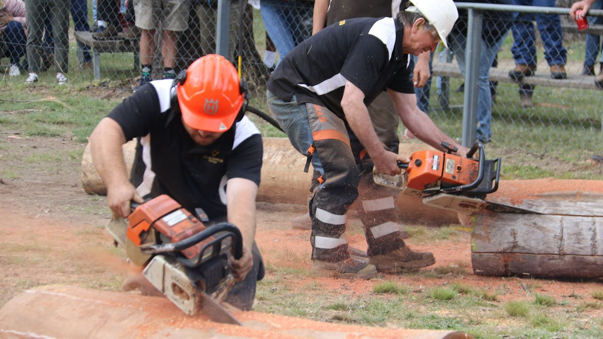 Chainsaw races at the Stanthorpe Show