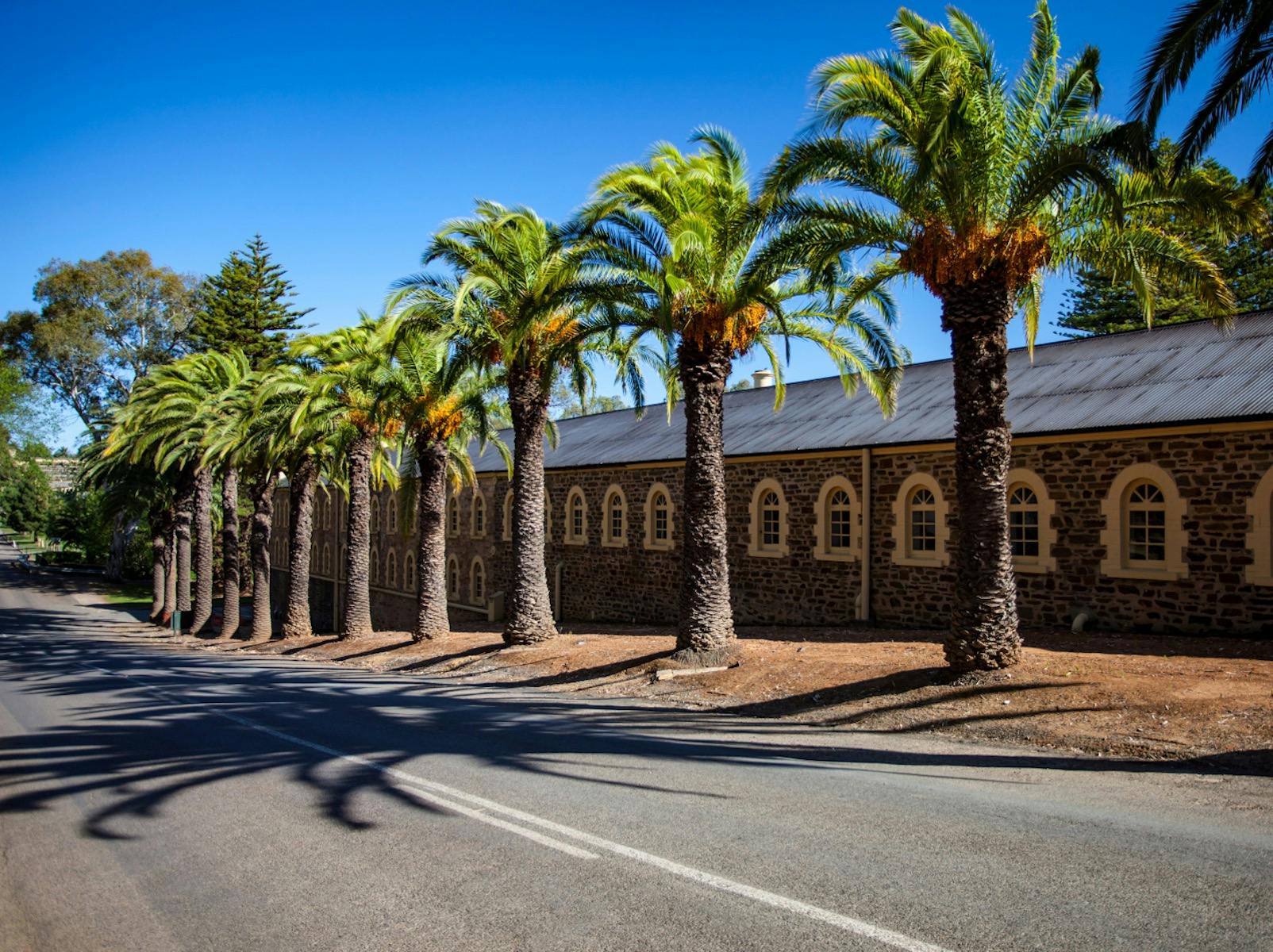 Barossa Heritage Drive
