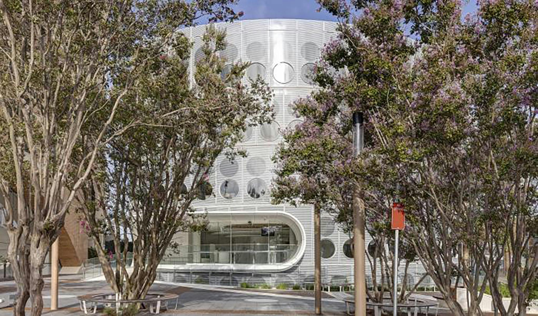 A modern building behind foliage