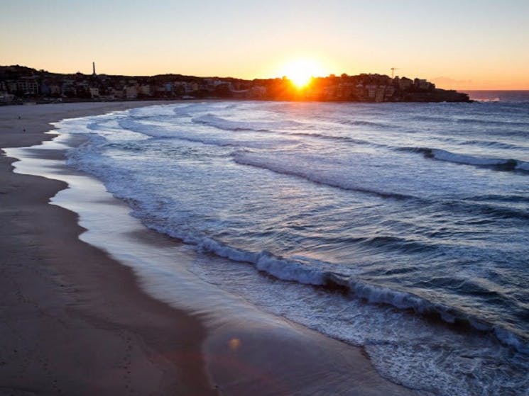 Bondi Beach