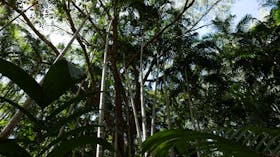 Holmes Jungle Nature Park
