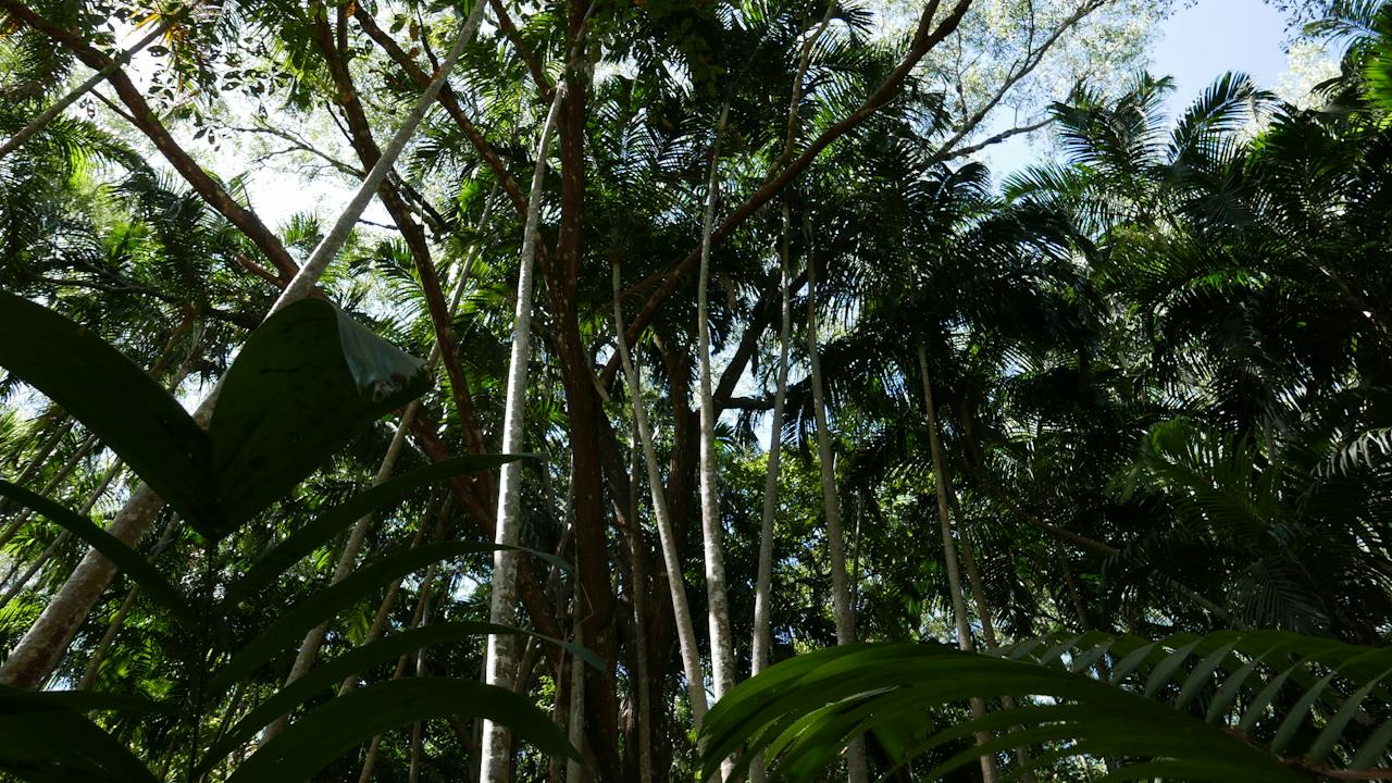 Holmes Jungle Nature Park