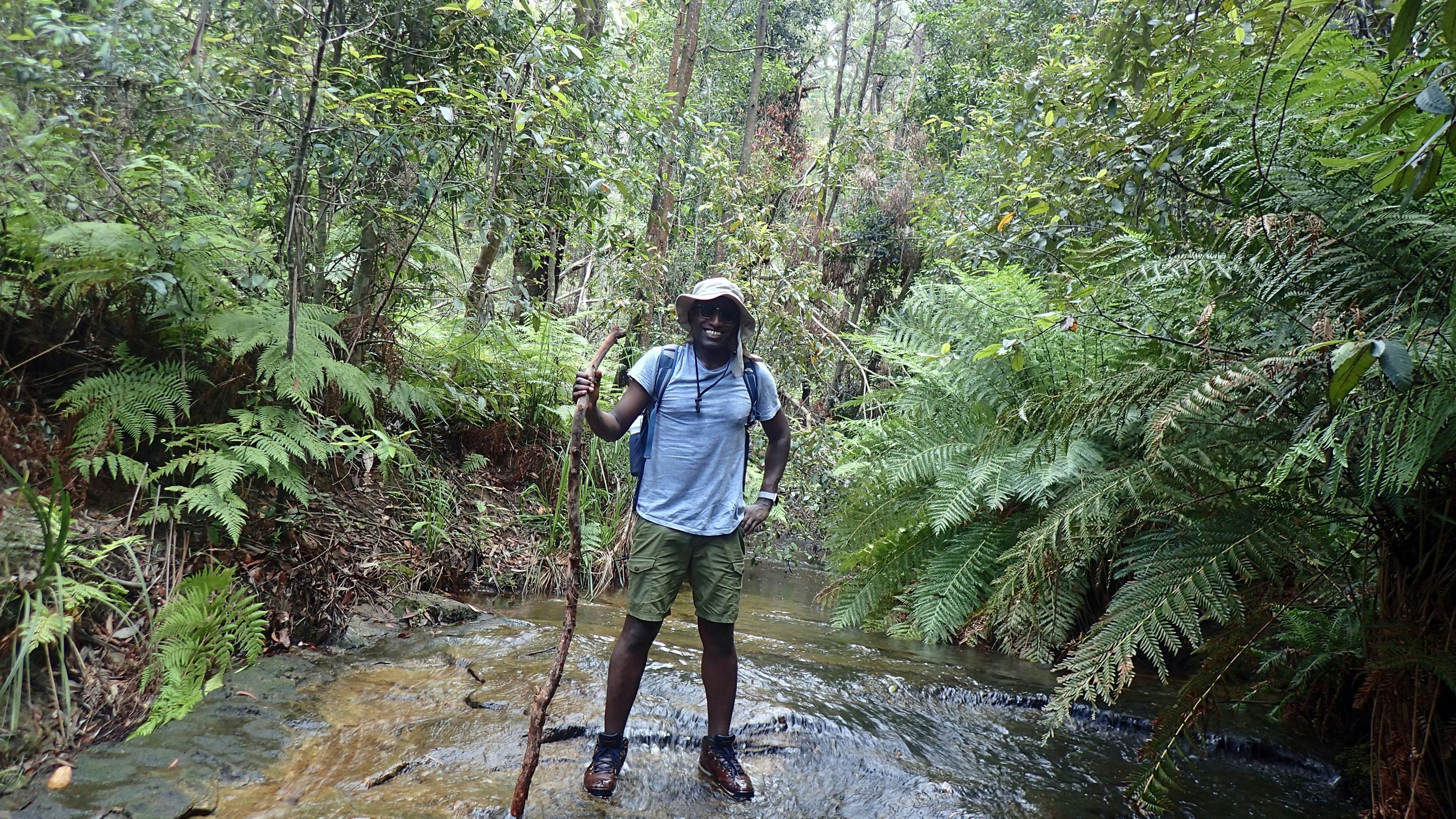 Exploring the Blue Mountains National Park