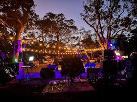 Country Music Muster