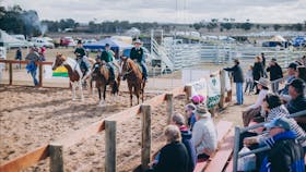 Horse arena