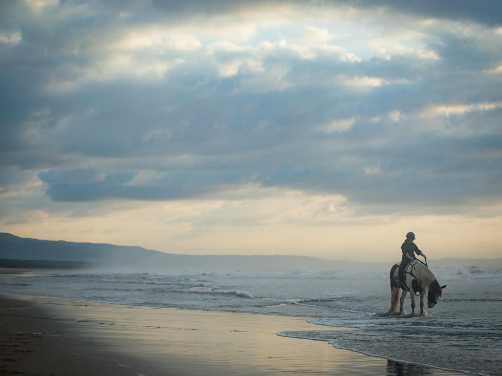Regal Riding School - Shoalhaven - South Coast NSW