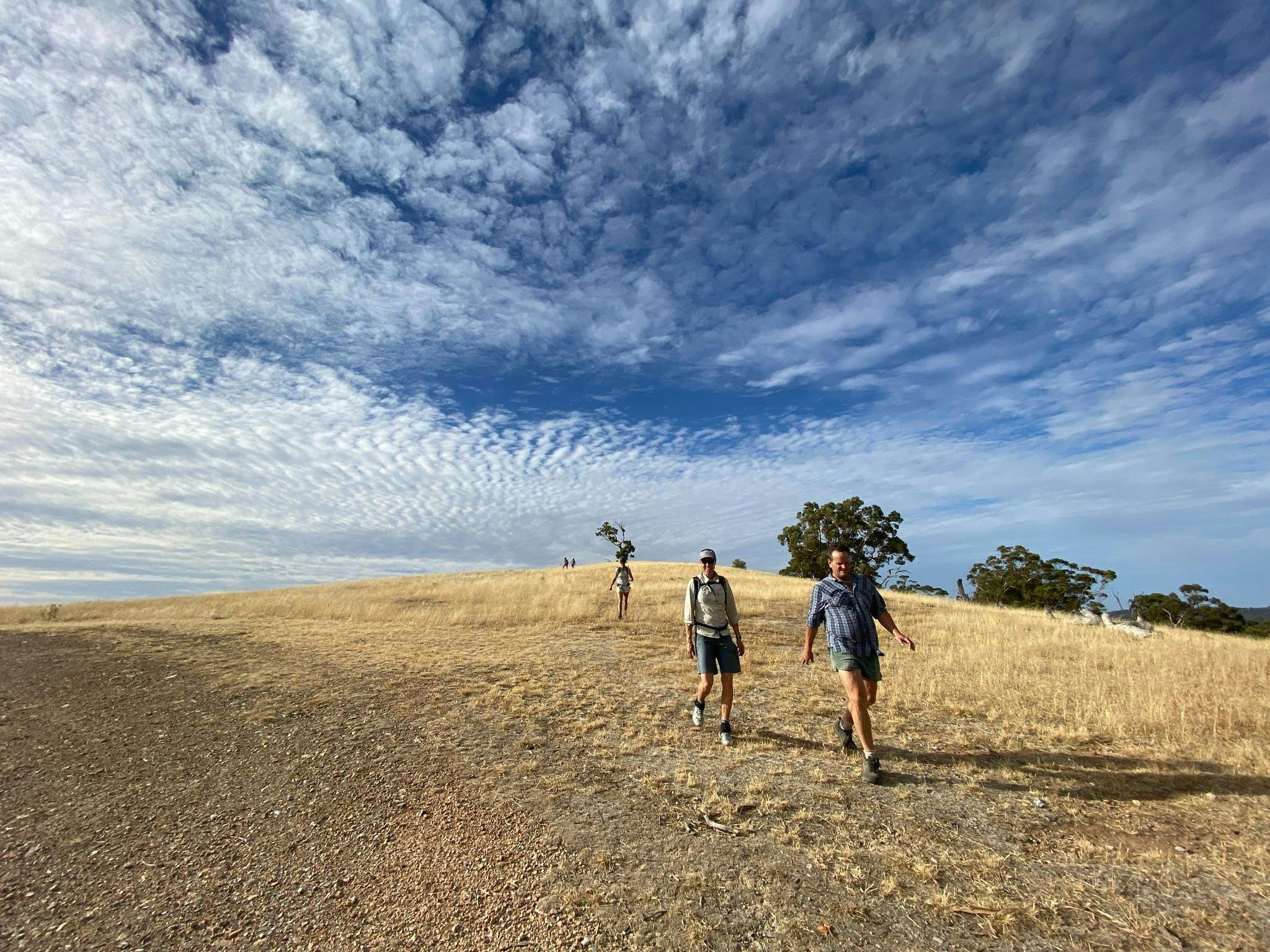 Clare Valley Wine and Wilderness Trail