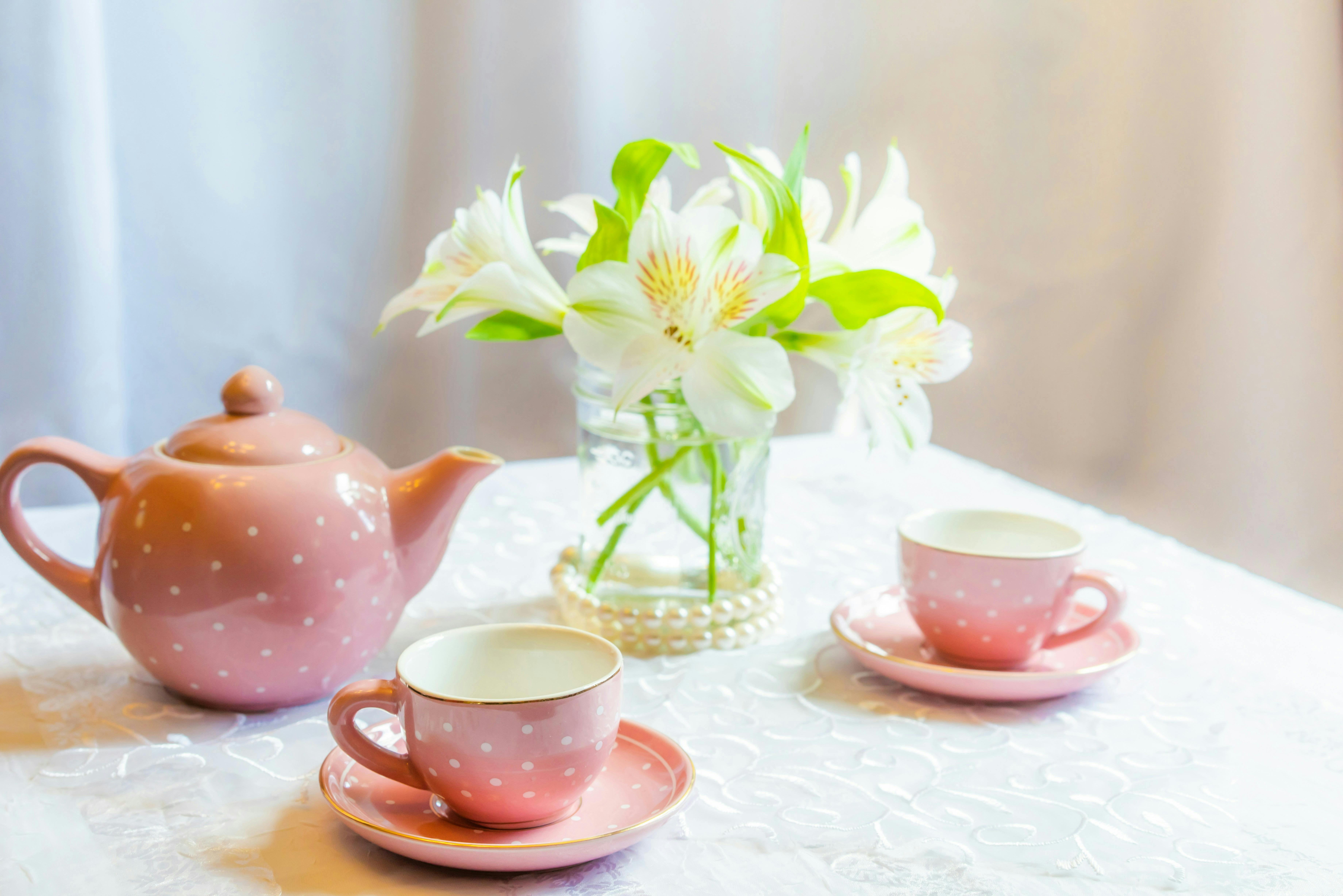 Australia's Biggest Morning Tea at Renmark Club