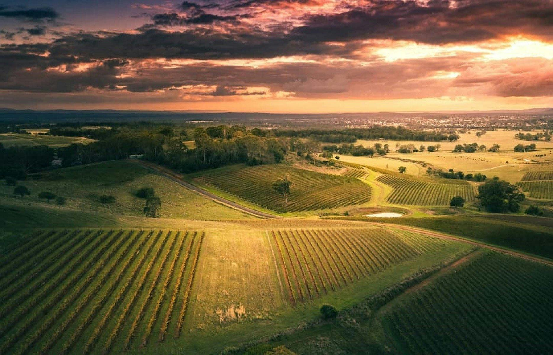 A cellar door with amazing views