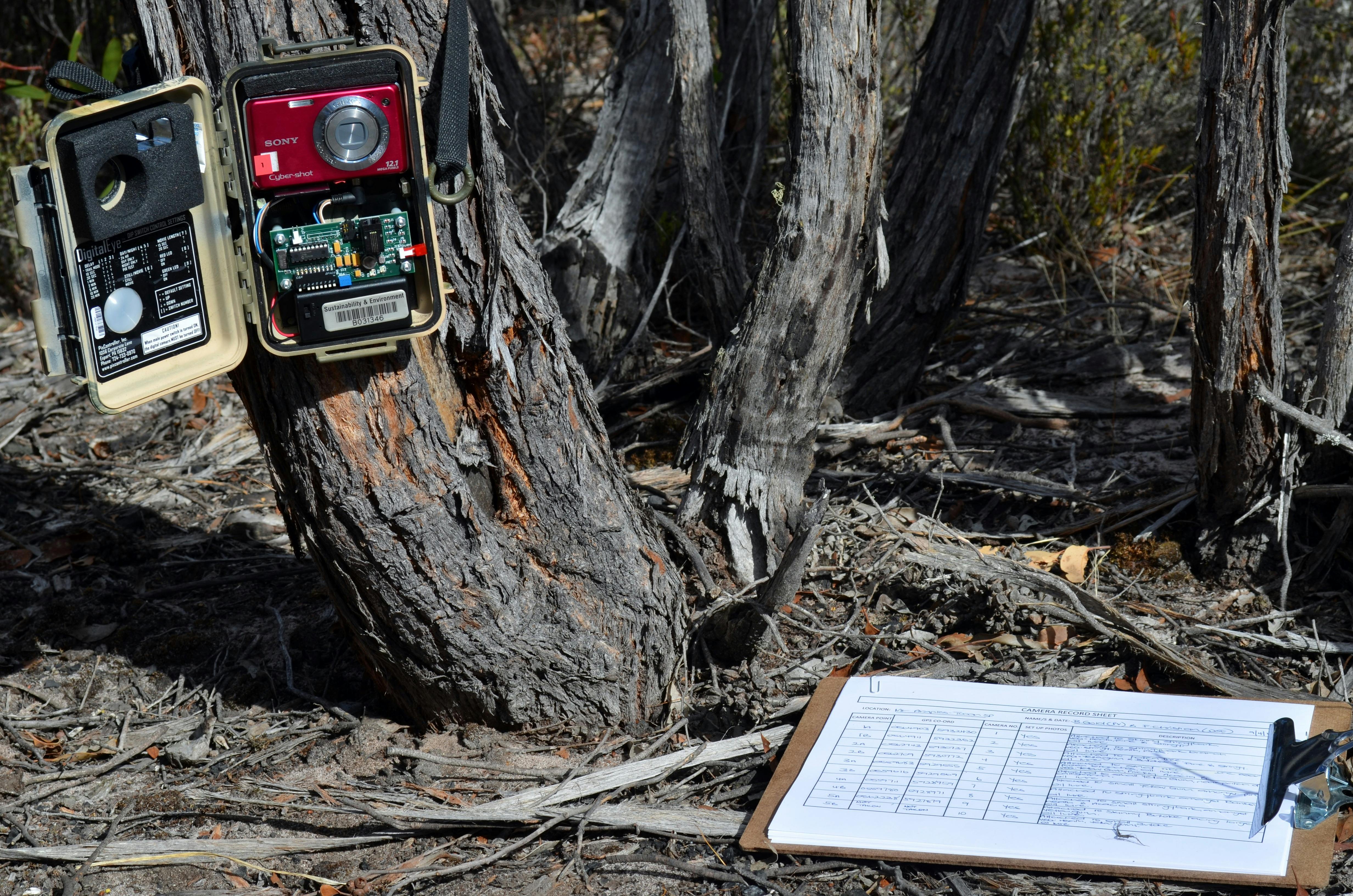 Conservation Study Tours
