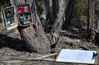 Conservation Study Tours