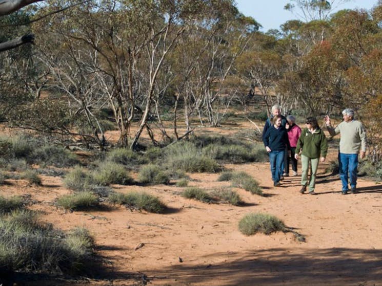 Mallee Stop walking track