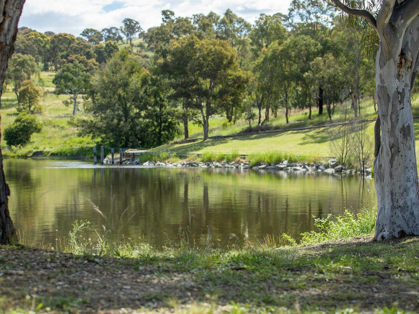 Googong Foreshores