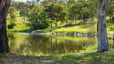 Googong Foreshores