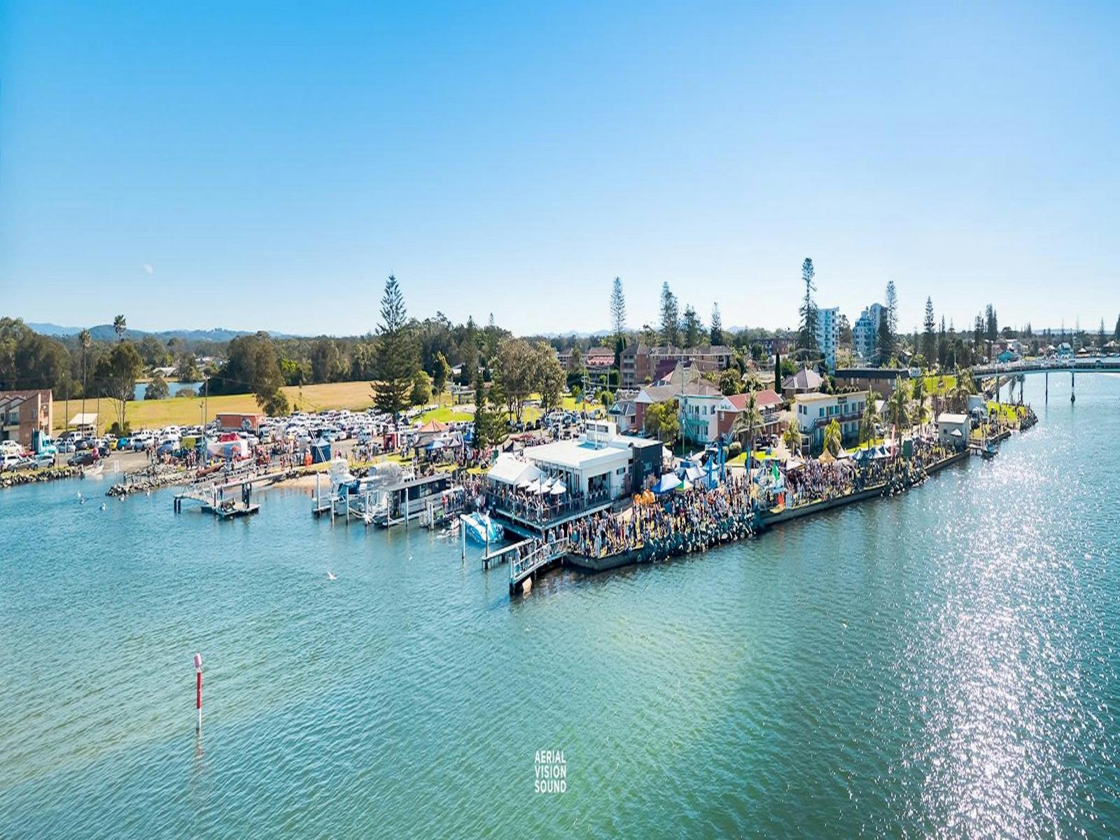 Image for Fred Williams Aquatic Festival