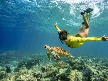 Turtle Tripper Adventure Turtle Tripper Adventure