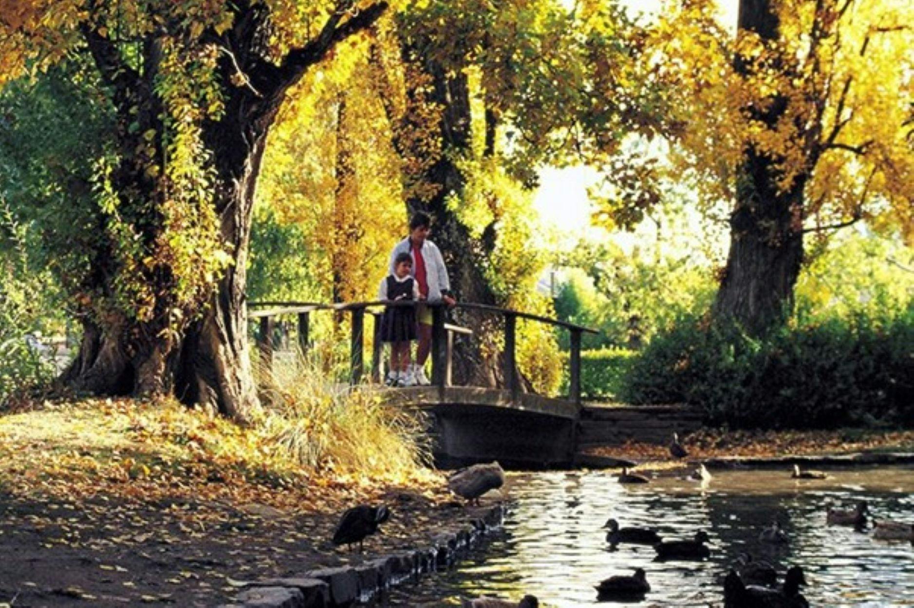 Lady and girl watching ducks swim in small river while standing on small bridge.