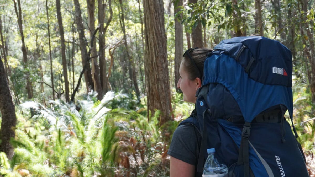 Great Walks -K'gari Fraser Island