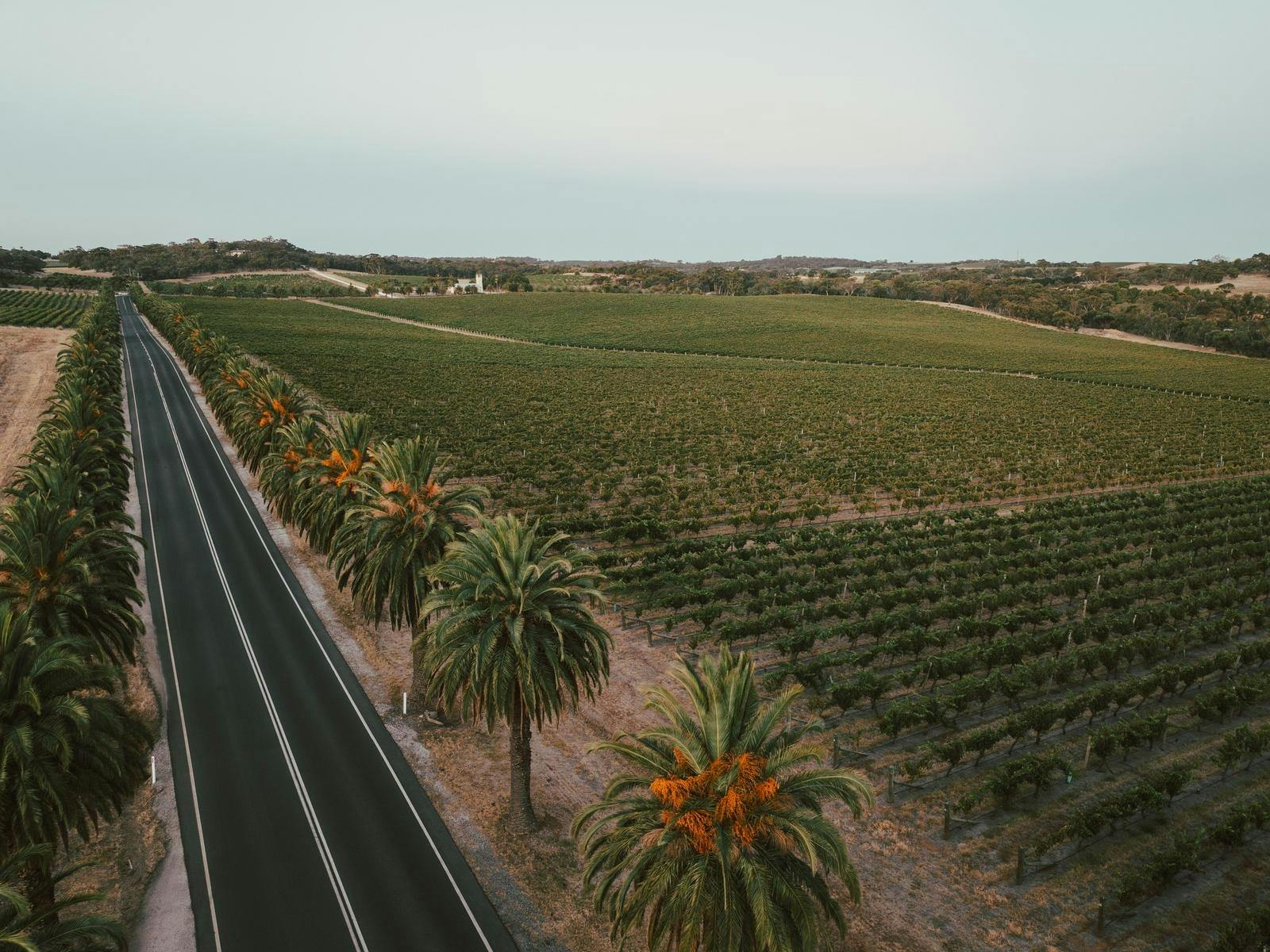 Barossa & Kangaroo Island Escape 2026