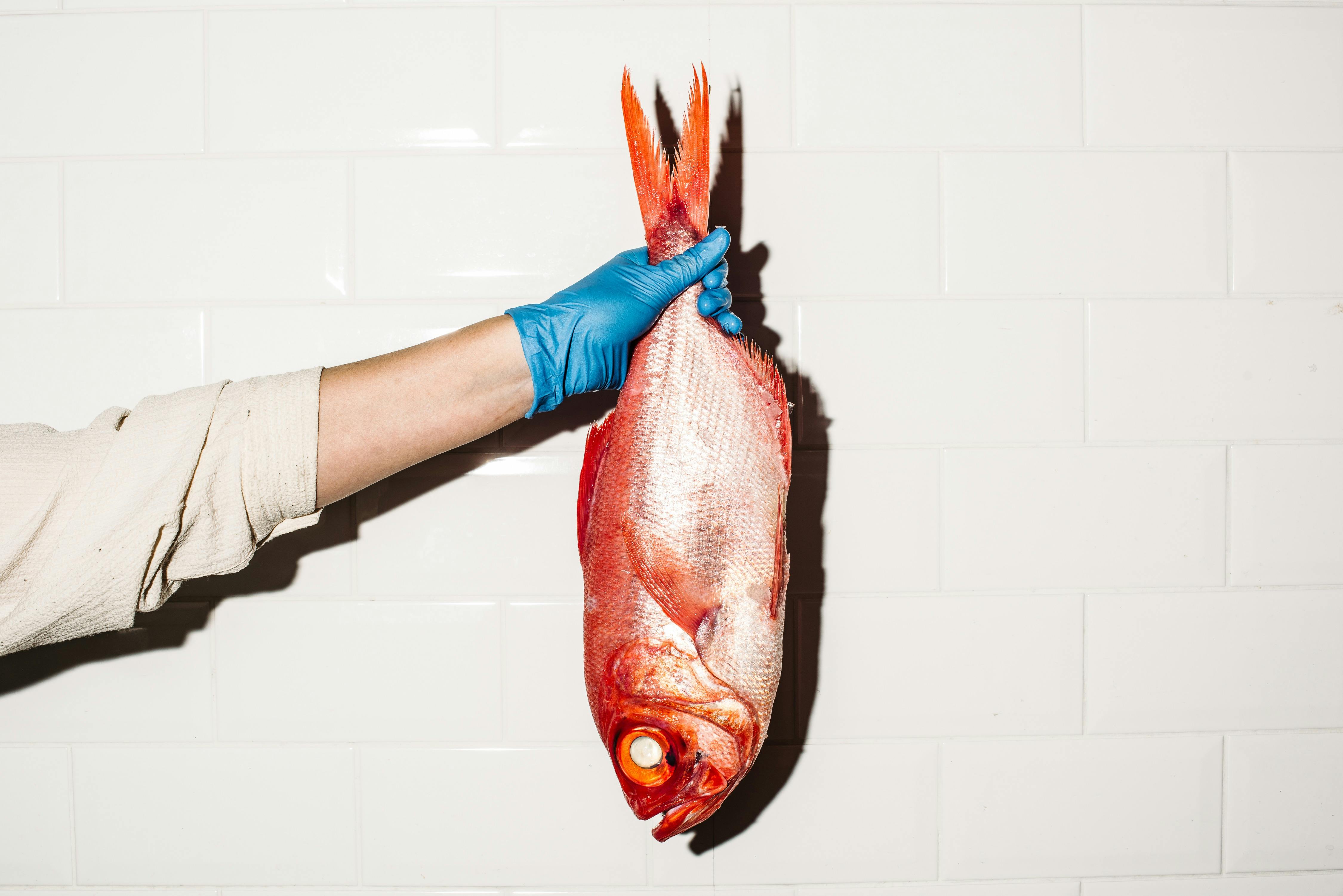 Sydney Fish Market