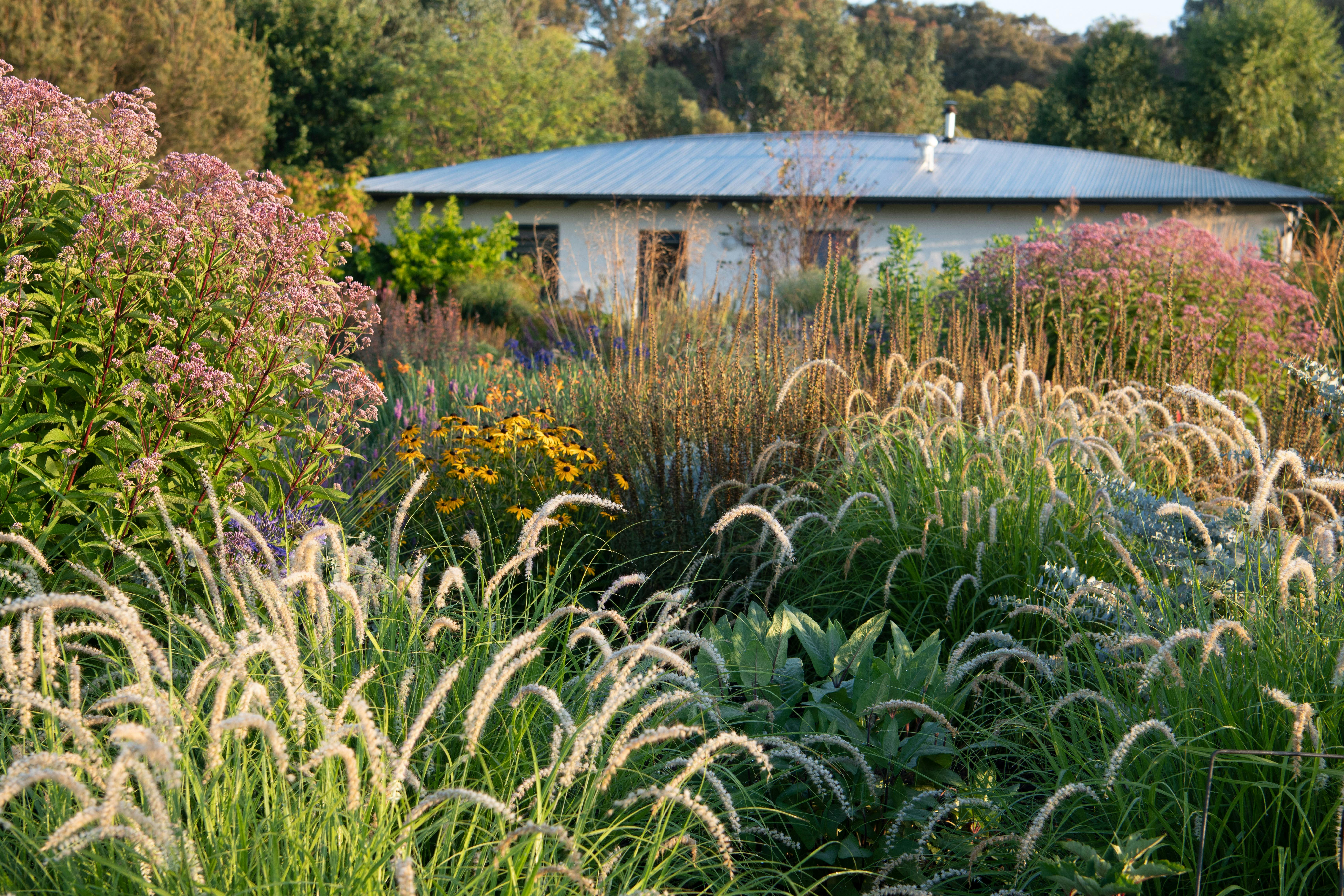 Open Gardens Victoria  - The Barwitian Garden, looking back towards mudbrick house