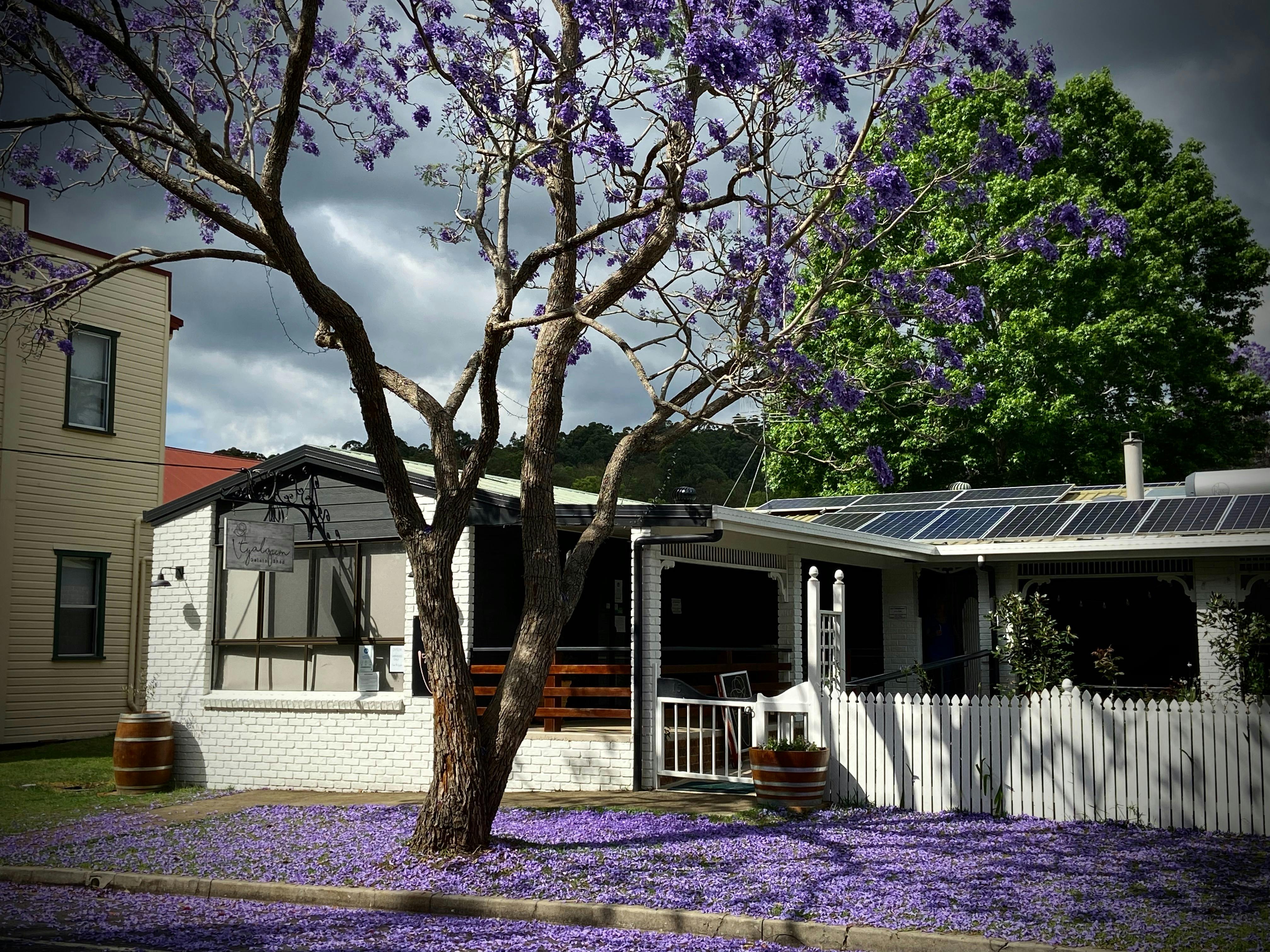 Tyalgum Gelato Shop