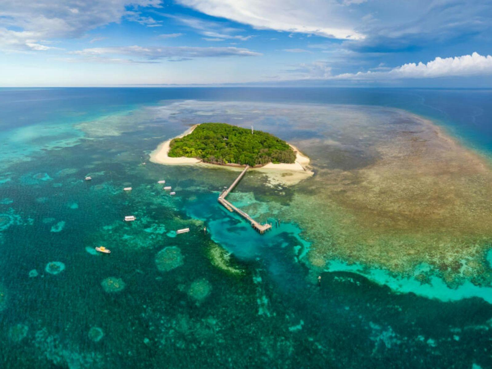 Cairns Half Day Tours Cairns Half Day Tours