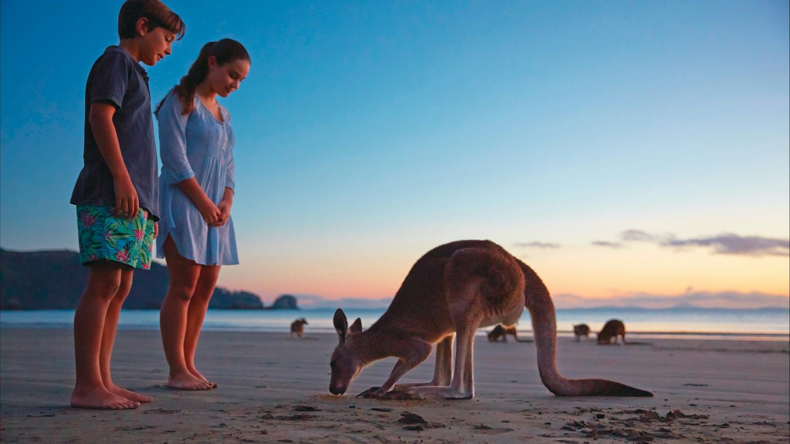 children with wallabies on the beach