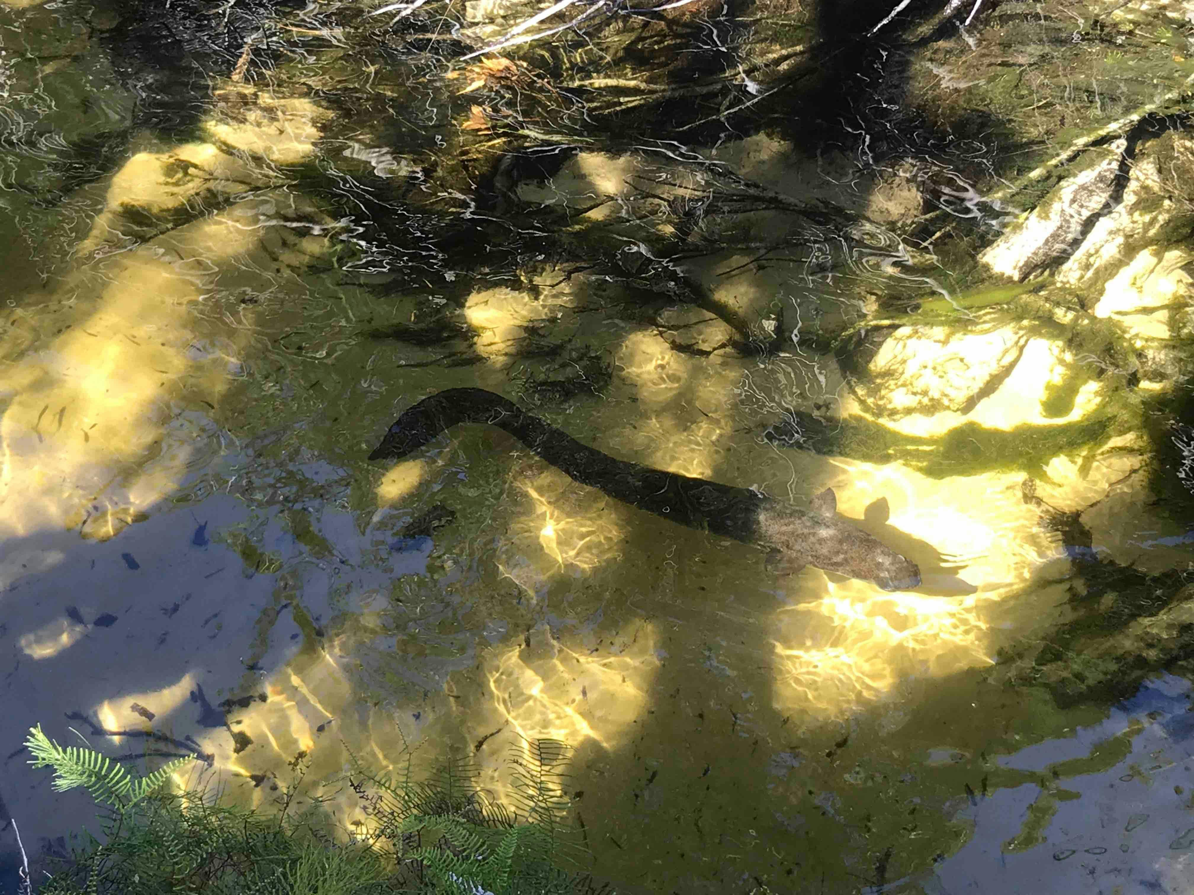 Rainbow Beach Tour with Lunch, Carlo Sandblow, Cooloola, Great Sandy National Park & Brewery Farm