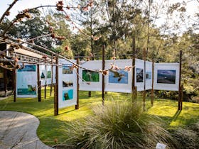 Our Sunshine Coast Photography Exhibition at the Maroochy Botanic Gardens