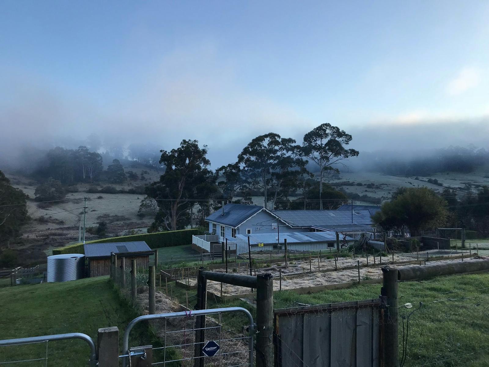 Morning fog, Homestead in the distant with paddocks and sheds.