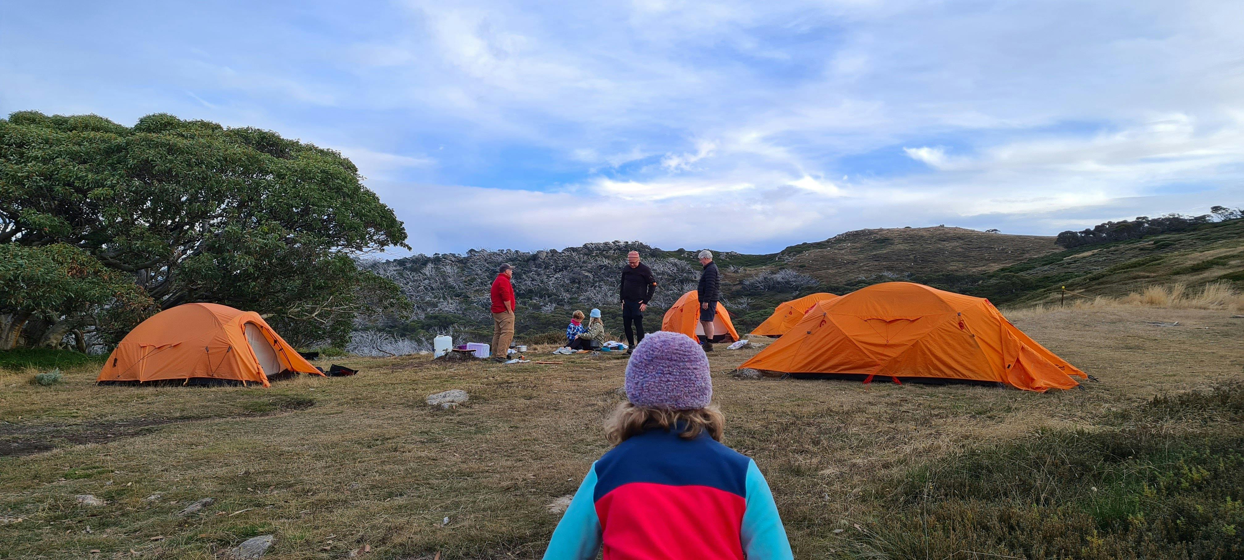 A family hiking group camping on Mt Stirling.