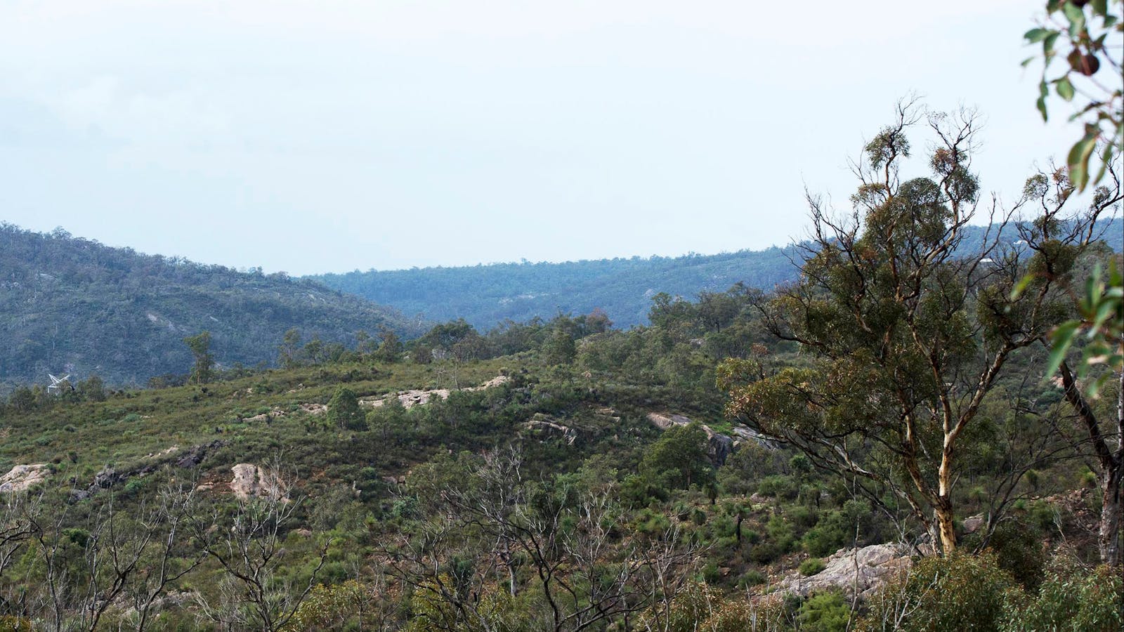 A view across the Perth Hills on a Nature tour.
