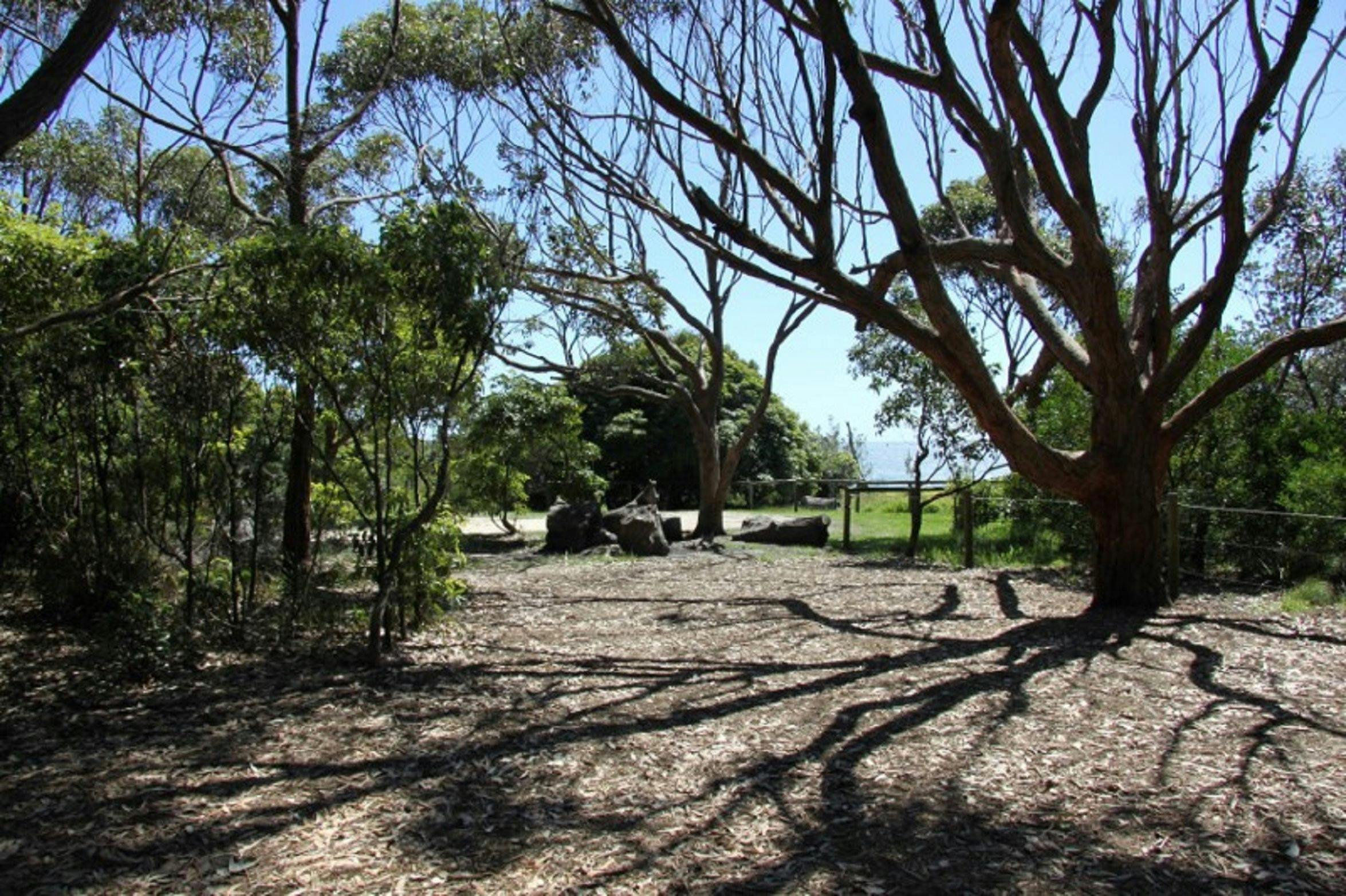 Bush Camp Ground