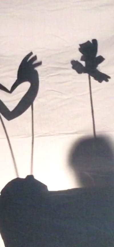 Shadow puppets move across a screen as the outlines of children dancing are visible on either side