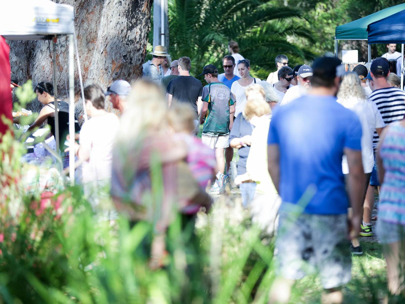 Monthly Markets by Pond
