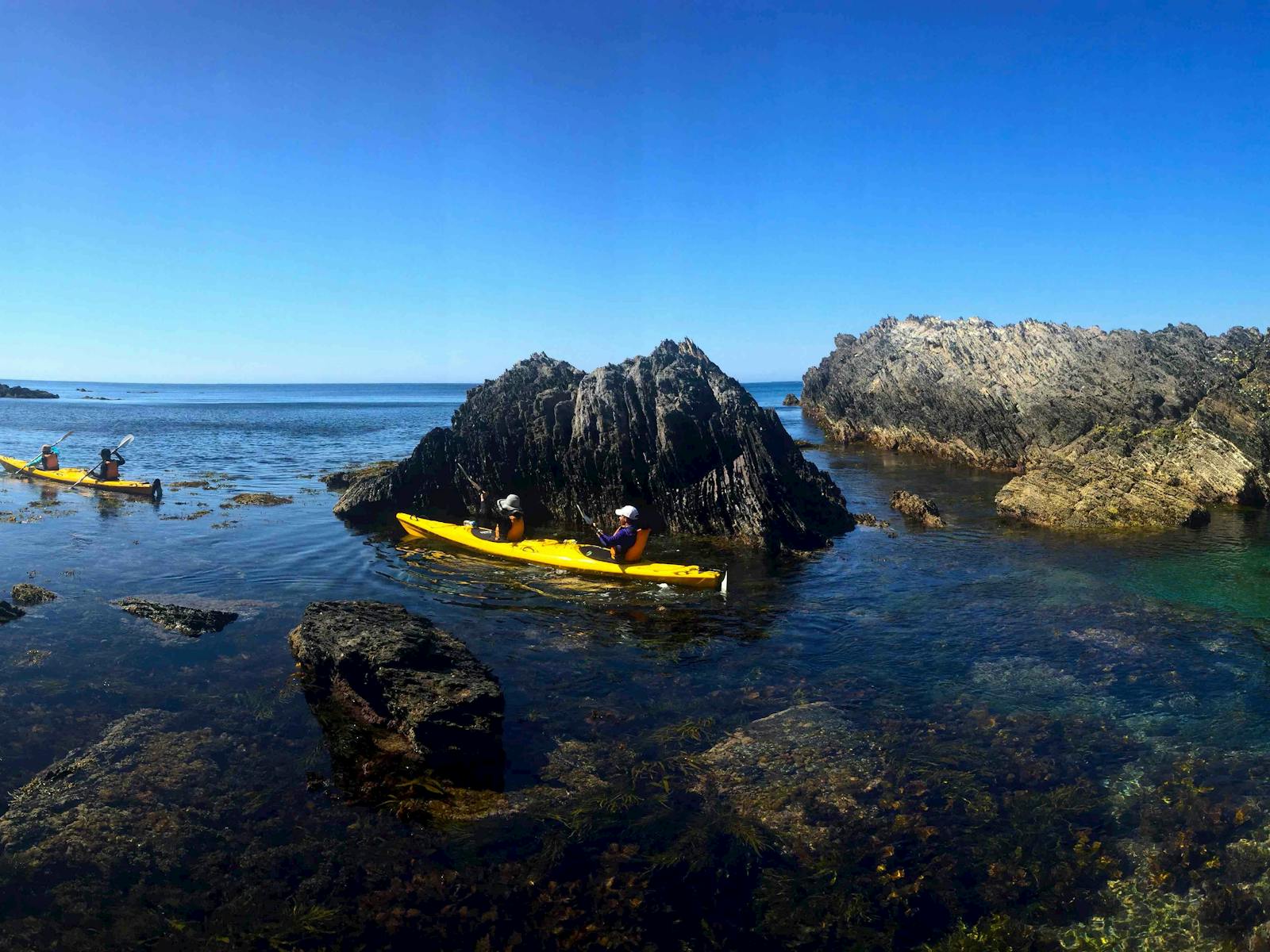 Region X Sea Kayak and Camping Adventures