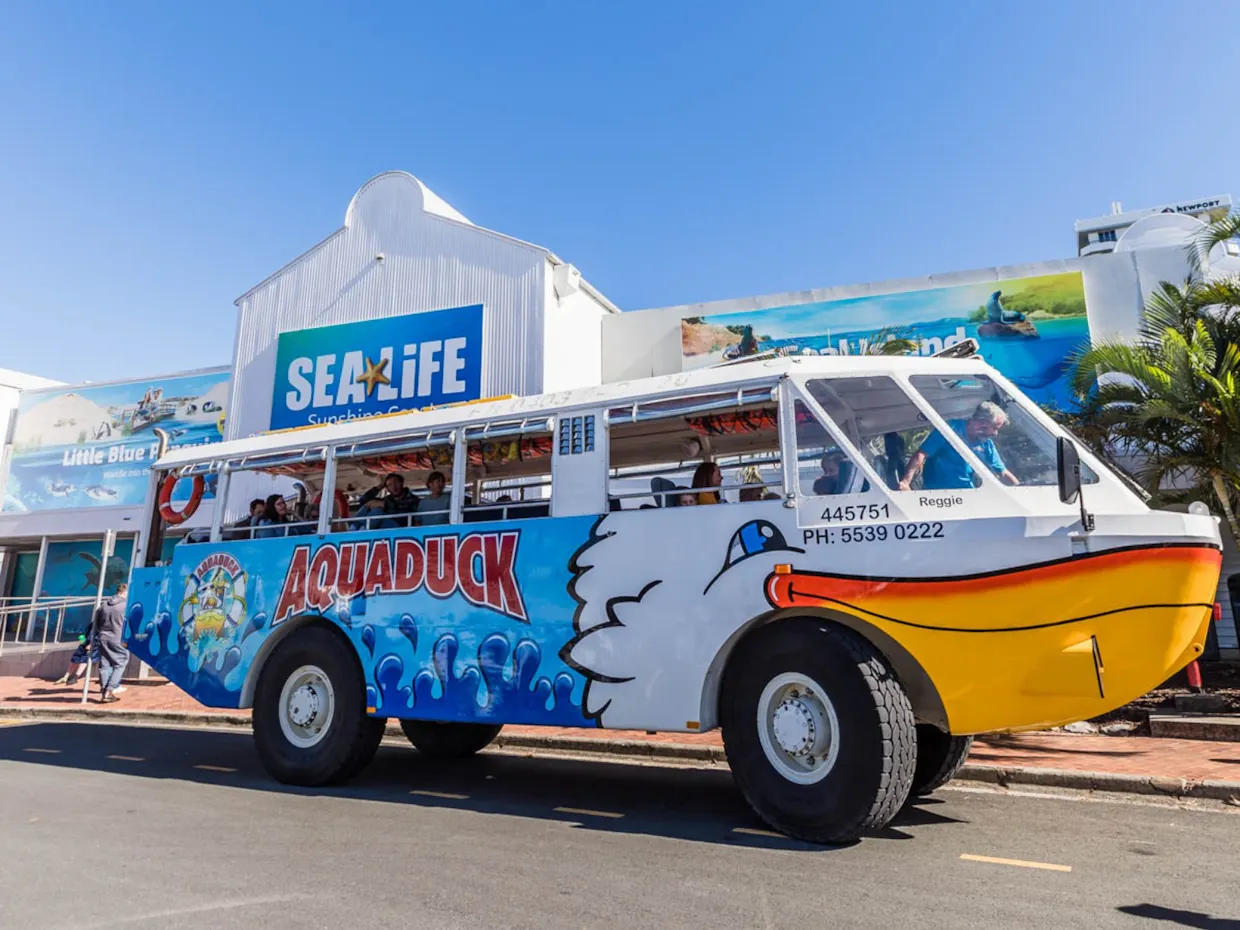 Aquaduck Sunshine Coast & Morning Tea Combo