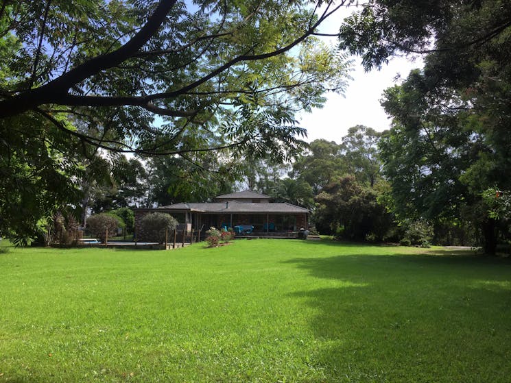 Spacious Backyard