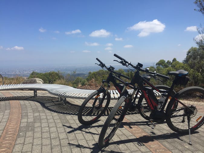 MT Lofty Wheels Wine Wildlife E Bike tour