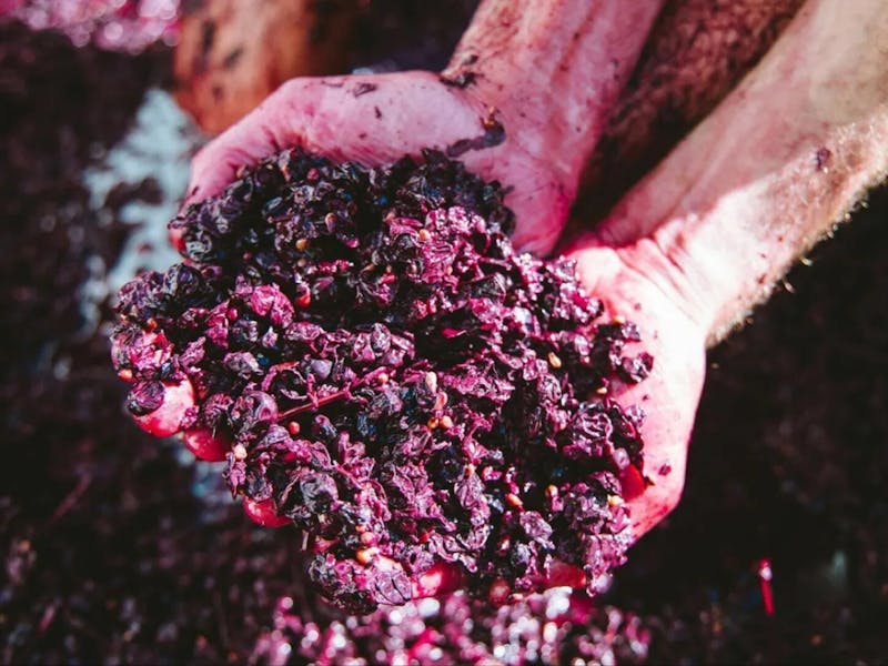 Image for Hooray for Gamay