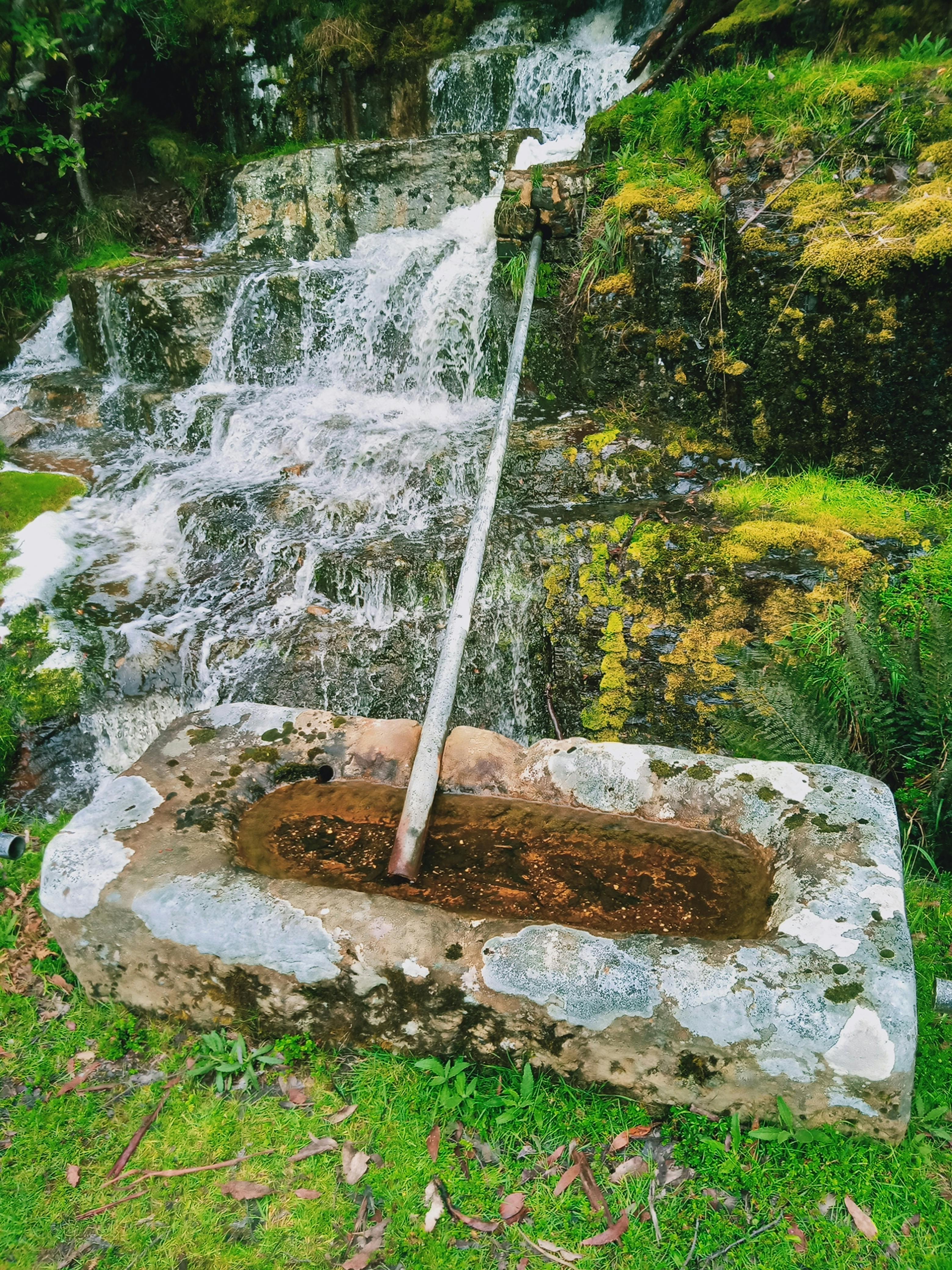 stream on the Mountain