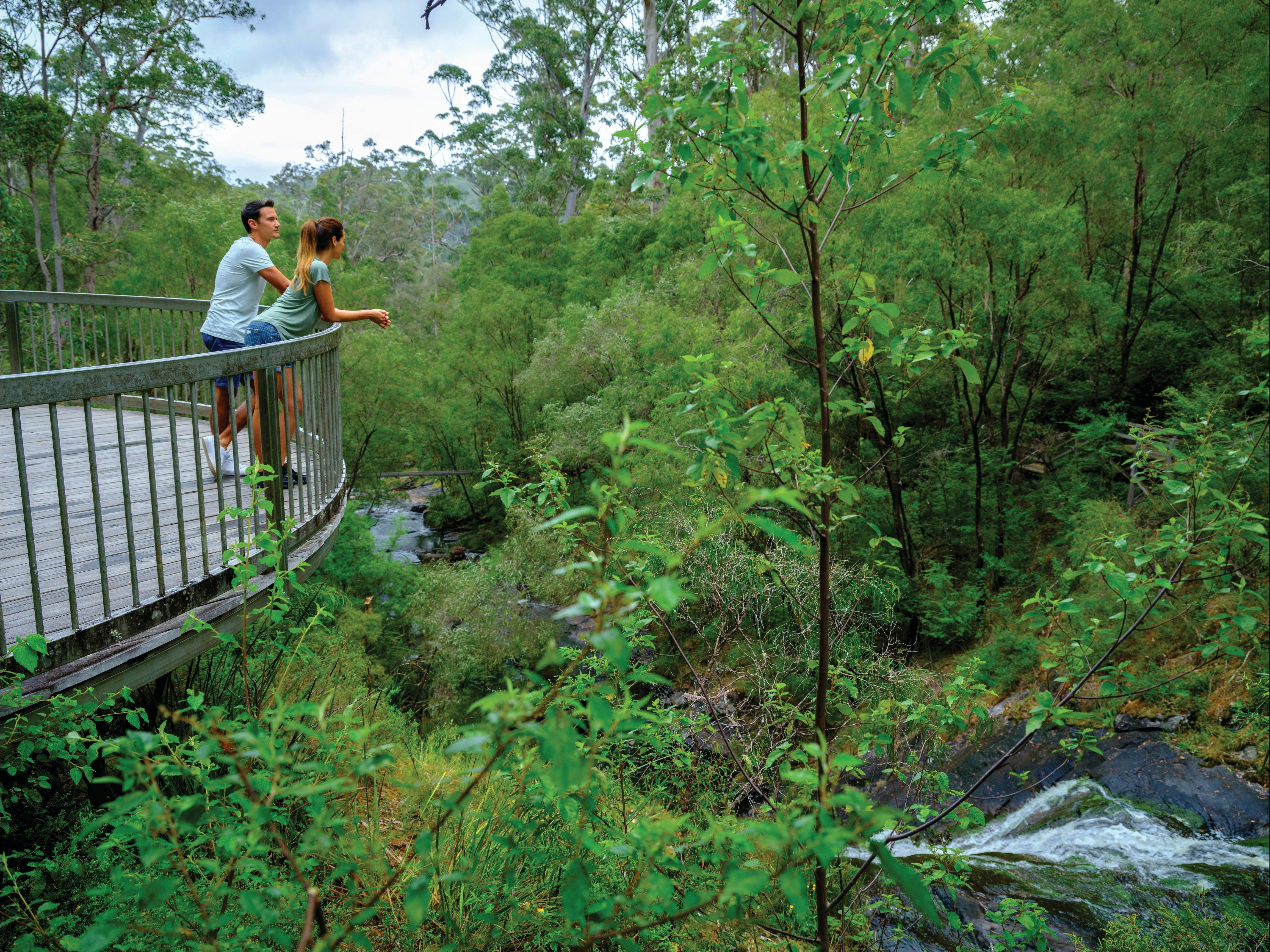 Southern Forests, Pemberton, Western Australia