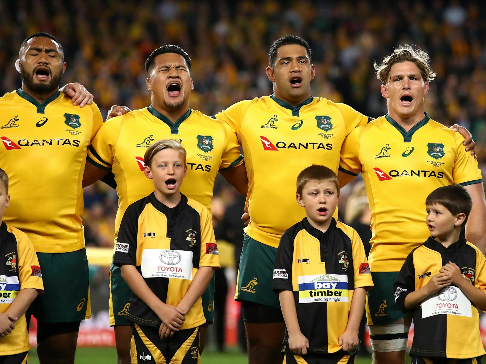 Image for The Rugby Championship Matchday 1: Australia v New Zealand (Bledisloe Cup Game 3)