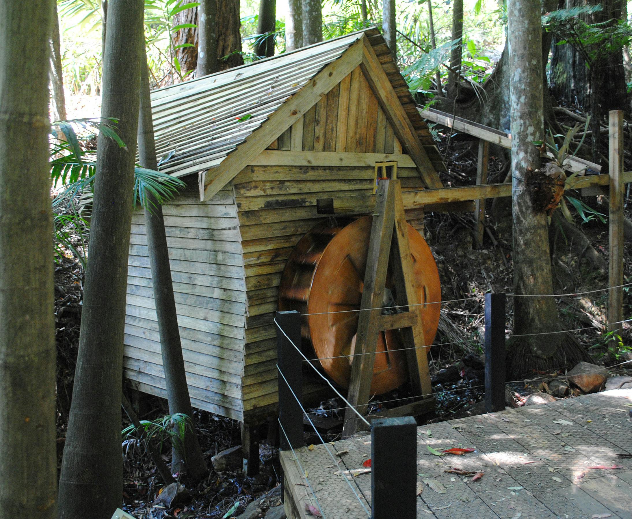 Crooked House in Sooty Owl trail