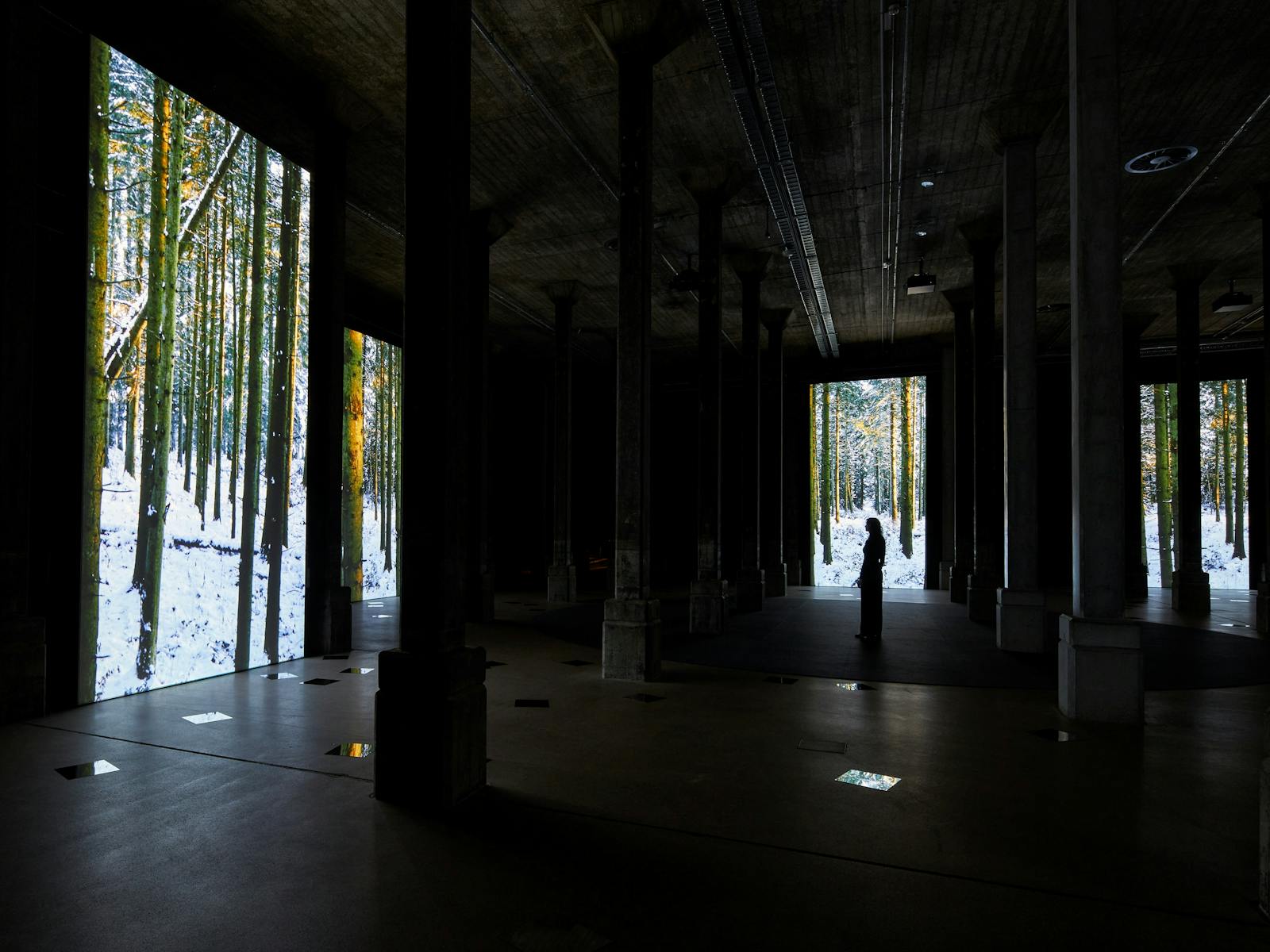 Installation view of Angelica Mesiti 'The Rites of When' exhibition in the Nelson Packer Tank