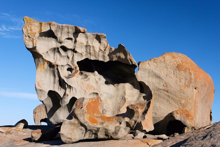 Day Tour Kangaroo Island Experience