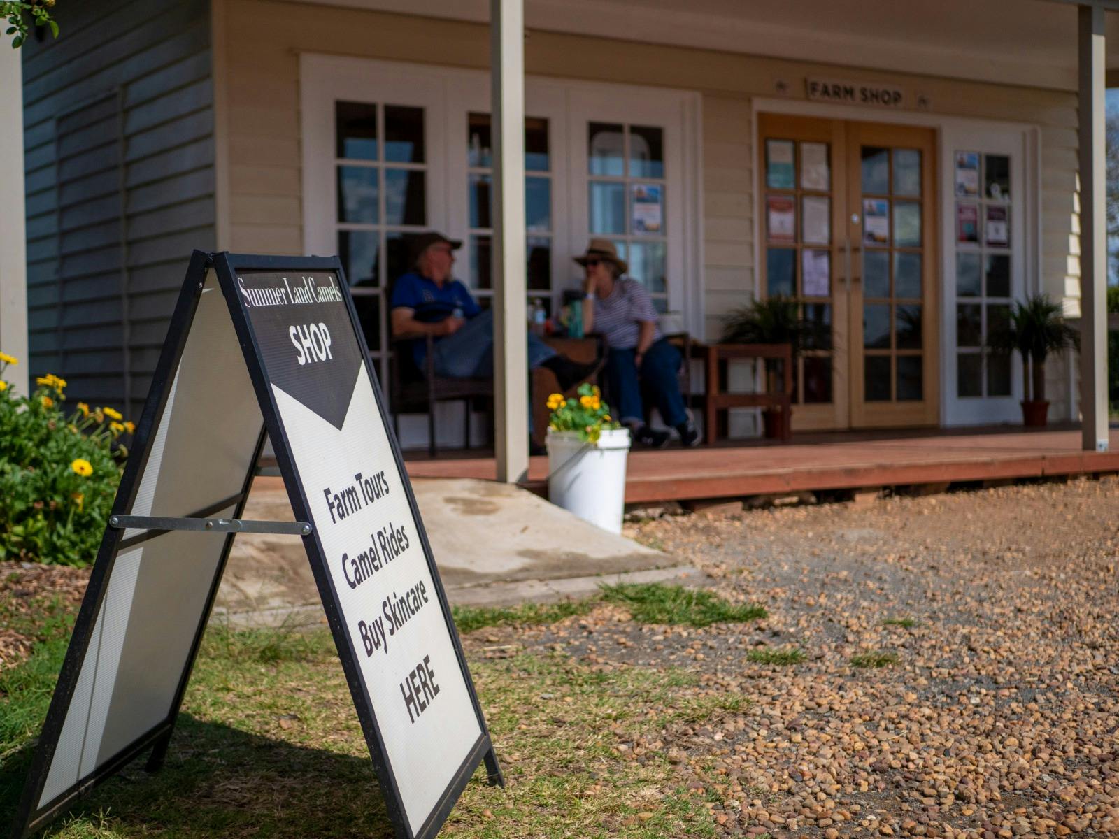 Paddock to Plate Experience